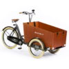 Bakfiets.nl CargoTrike Cruiser Wide